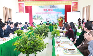 Mục tiêu đưa trà Shan Tuyết Suối Giàng phát triển xứng tầm tiềm năng