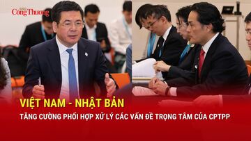 Việt Nam - Nhật Bản tăng cường phối hợp xử lý các vấn đề trọng tâm của CPTPP