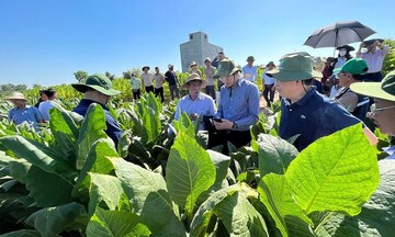 Bán đấu giá cổ phần của Vinataba tại Công ty Thực phẩm Colusa-Miliket