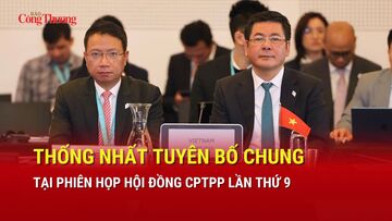 Thống nhất Tuyên bố chung tại Phiên họp Hội đồng CPTPP lần thứ 9