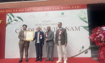 Công nhận 12 cây di sản Việt Nam 