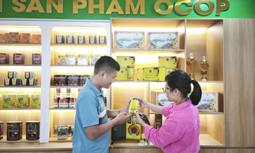 Phú Thọ: Nâng tầm đặc sản OCOP thành thương hiệu quốc gia