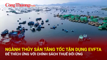 Ngành thủy sản tăng tốc tận dụng EVFTA để thích ứng với chính sách thuế đối ứng