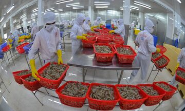 Hiệp định VIFTA: Động lực mới thúc đẩy hợp tác toàn diện Việt Nam - Israel