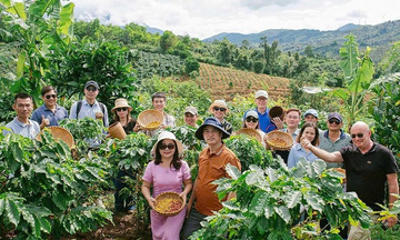 Quảng Ngãi: Kinh tế tập thể giúp nâng cao giá trị sản vật địa phương