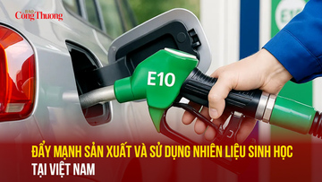 Đẩy mạnh sản xuất và sử dụng nhiên liệu sinh học tại Việt Nam