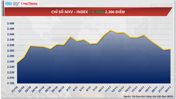 Triển vọng nguồn cung dồi dào kéo giá lúa mì tiếp tục suy yếu