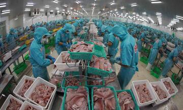 Sắp diễn ra Hội thảo ngành Thủy sản Việt Nam thích ứng với phòng vệ thương mại 