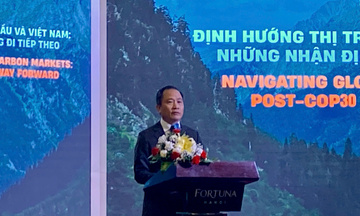 Thách thức nào đang cản bước thị trường các-bon Việt Nam?