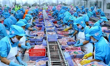 EU thiếu hụt nguồn cung cá thịt trắng và cơ hội của cá tra Việt Nam