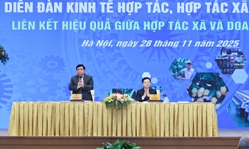 Liên kết hợp tác xã – doanh nghiệp còn hạn chế, chưa tương xứng tiềm năng