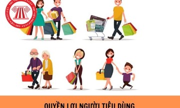 Dự thảo Chương trình hành động của Chính phủ thực hiện Kết luận số 207-KL/TW