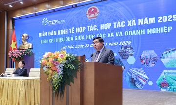 Tăng liên kết hợp tác xã - doanh nghiệp để phát huy mọi nguồn lực