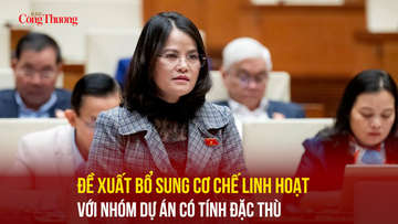 Đề xuất bổ sung cơ chế linh hoạt với nhóm dự án có tính đặc thù