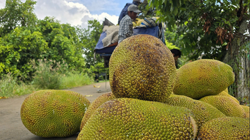 Nông sản Việt rộng cửa vào thị trường Trung Quốc 