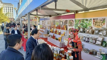 Nông sản tiêu thụ tăng mạnh tại Tuần Du lịch - Văn hóa Lai Châu 2025