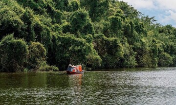 Khu bảo tồn Đồng Tháp Mười - 'trái tim xanh' gìn giữ bản sắc Nam Bộ