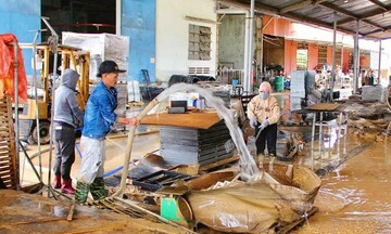 Doanh nghiệp Gia Lai từng bước khôi phục sản xuất sau mưa lũ