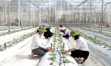 Giáo dục ưu tiên đào tạo các ngành đang 'khát' nhân lực chất lượng cao