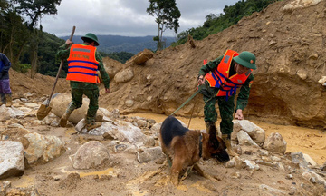 Đà Nẵng: Hoàn thành tái định cư cho vùng sạt lở trong quý I/2026