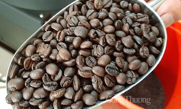 Thị trường Đức tăng nhập khẩu cà phê từ Việt Nam