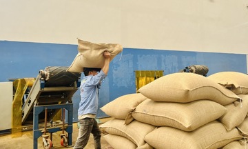 Gia Lai vượt mốc 3,2 tỷ USD, bứt phá toàn diện