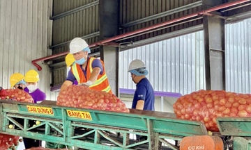 Gia Lai mở rộng hợp tác với Singapore, thúc đẩy xuất khẩu nông sản