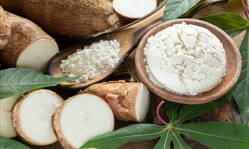 Việt Nam vươn lên Top 3 nguồn cung sắn ngoài khối cho EU