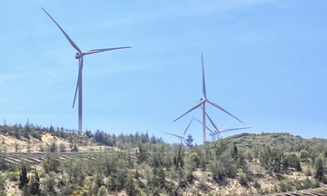 Gia Lai: Vốn FDI vượt mốc 1,4 tỷ USD, dự án lớn dồn dập đổ về