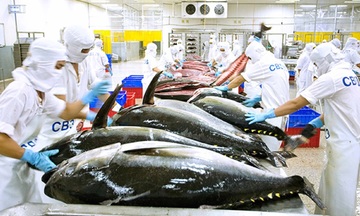 Kiên quyết gỡ 'thẻ vàng' IUU, giữ vững chỗ đứng cho thủy sản Việt Nam