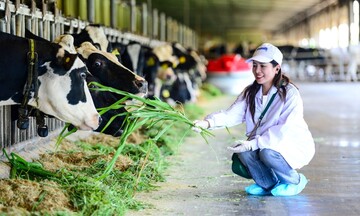 Tây Ninh: Giảm mạnh phát thải khí mê-tan, mở đường cho nông nghiệp xanh