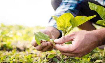 Thực hành nông nghiệp giảm thiểu khí nhà kính