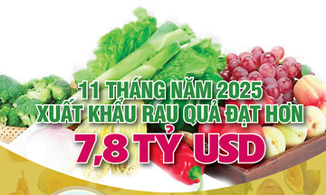 11 tháng năm 2025: Xuất khẩu rau quả đạt hơn 7,8 tỷ USD