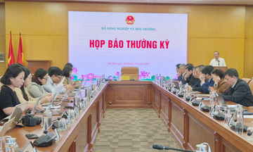 Xuất khẩu nông, lâm, thủy sản tăng tốc, hướng tới 70 tỷ USD năm 2025