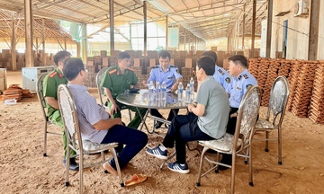 Gia Lai ngăn đầu cơ, bình ổn giá triển khai 'Chiến dịch Quang Trung'