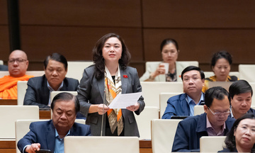 Đề xuất mở rộng thẩm phán tòa án chuyên biệt là người nước ngoài