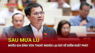 Nhiều gia đình vừa thoát nghèo lại rơi về điểm xuất phát sau mưa lũ