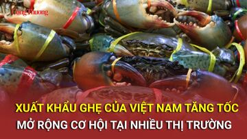 Xuất khẩu ghẹ Việt Nam tăng tốc, mở rộng cơ hội tại nhiều thị trường