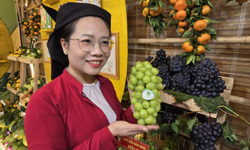 Sản xuất sạch nâng bước thương hiệu trái cây Bắc Ninh