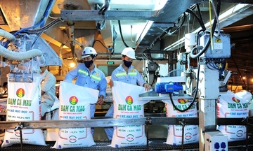 Chiến lược ngành hoá chất: Cơ hội để công nghiệp nền tảng bứt tốc