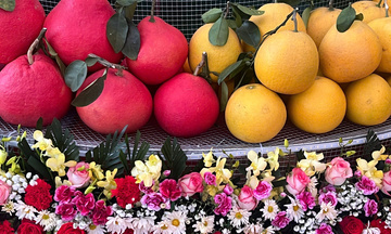 Lễ hội trái cây Bắc Ninh 2025: Sức hút đặc biệt từ trái bưởi đỏ 