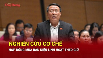 Nghiên cứu cơ chế hợp đồng mua bán điện linh hoạt theo giờ 