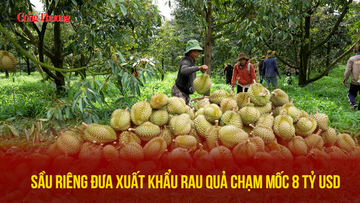 Sầu riêng đưa xuất khẩu rau quả chạm mốc 8 tỷ USD