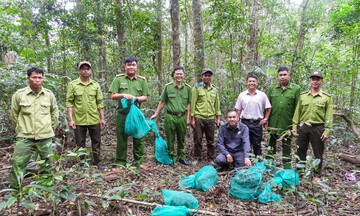 Gia Lai: Thả thành công rùa núi vàng, tê tê Java về rừng tự nhiên