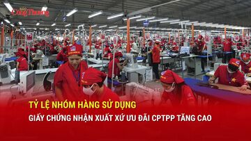Tỷ lệ nhóm hàng sử dụng giấy chứng nhận xuất xứ ưu đãi CPTPP tăng cao