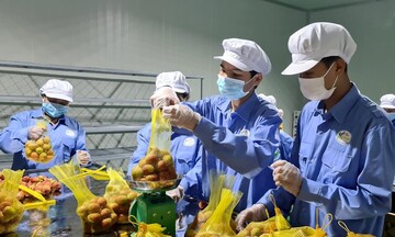 UKVFTA thúc đẩy minh bạch thủ tục, giảm chi phí, tạo đà tăng trưởng thương mại