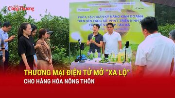 Thương mại điện tử mở 'xa lộ' cho hàng hóa nông thôn