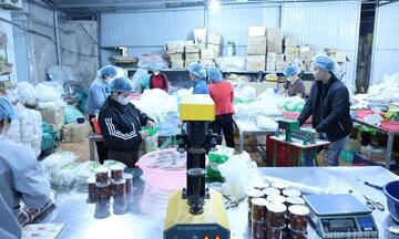 OCOP mở rộng cơ hội việc làm nhưng tồn tại thách thức lớn về nhân lực 