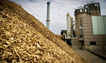 Chấp thuận chủ trương đầu tư Dự án Nhà máy điện sinh khối An Giang 1