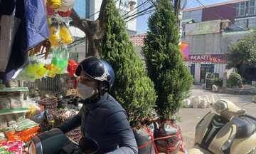 Sôi động thị trường Giáng sinh 2025: Cây cảnh, quà tặng hút khách